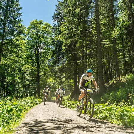 Appartamento Haus Anita-fewo 1415 Sauna-lenzkirch-kappel *